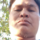 Dokins
