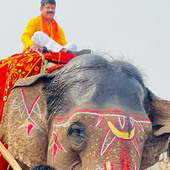 A chauhan