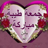 Safffggfghv3455