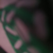 Hshssj