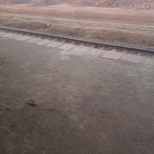 Mohshim