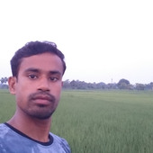 Ashikul