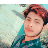 Ziddi