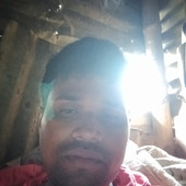 Raj sak