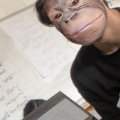 ndndisnanfi