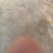 Pushpendra
