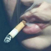 Raiz