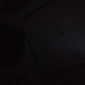 Dwikipra