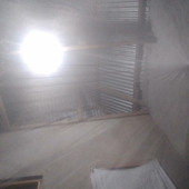PAINETO