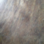 Rock kumar