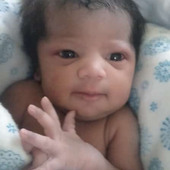 Little lund