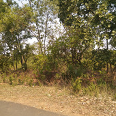 GopinathDey