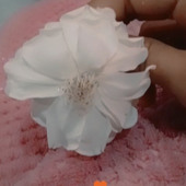 Phixy