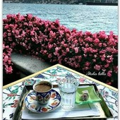 Seef828