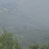 Lonoa