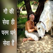 Desi oyo