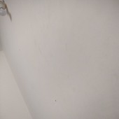 Jee1248845