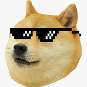 Bitchcatgo