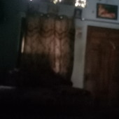 Vicku