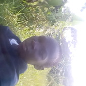 Eimos