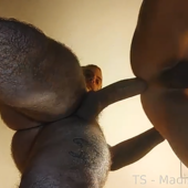 Htfreddy