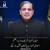 Kaali