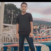 Davel milar