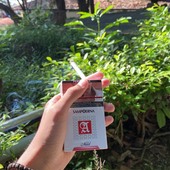 Bung Dedi