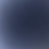 Vicky1997