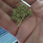 stoner1988