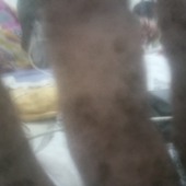 Aserfg