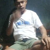 Vianlabok