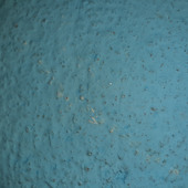 Dip25
