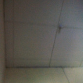 Sportlight