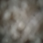 mhddanialiqbal