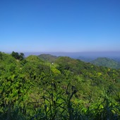 Nokulamotula