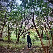 Bhanai