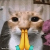 minecraftik900@sezna