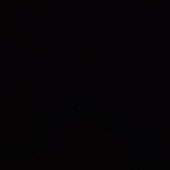 noah_485