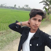 Ranavai