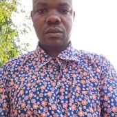 Oumo musa kachorombo