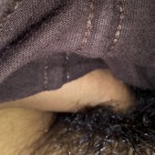 Aarati kadal