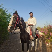 Hardik jadav