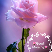 Rahul k