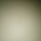 Davosdelhi