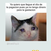 Srdavid019