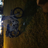 Ex5