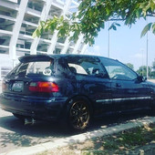 Hakimie
