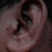 Kotha