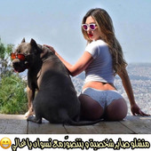 ttt2222